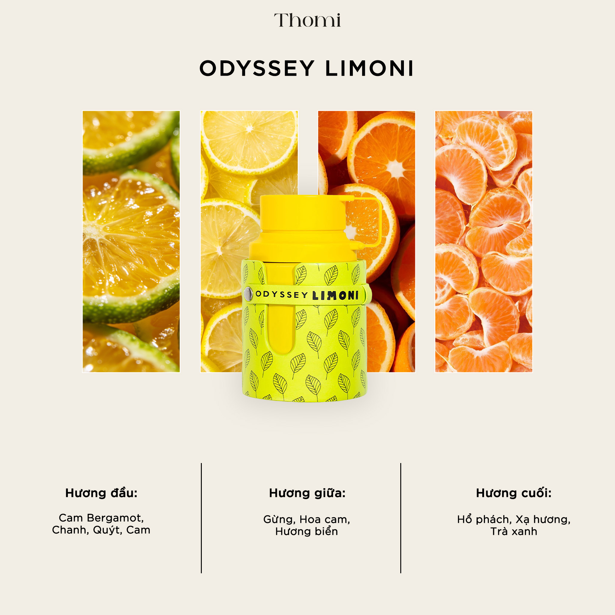 odyssey_limoni_2 odyssey_limoni_2